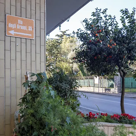 Orange - De Vivo Realty